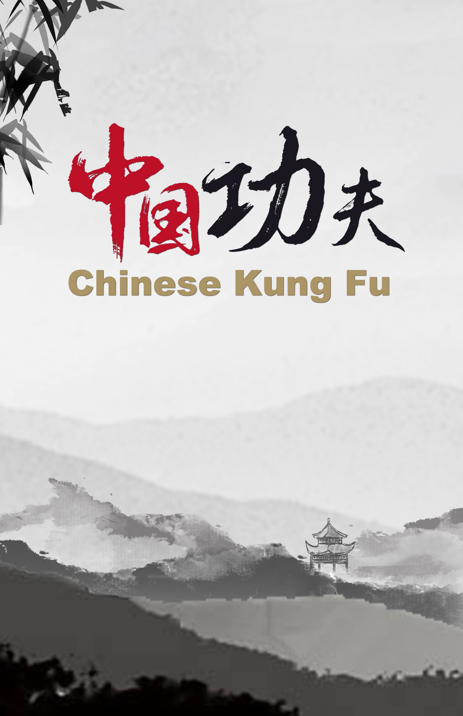  Chinese kung fu