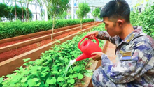 南沙故事我来讲｜“四防”菜地的由来