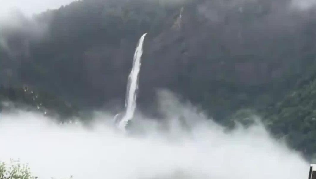 庐山瀑布从雨雾中落下 再现“疑是银河落九天”景观
