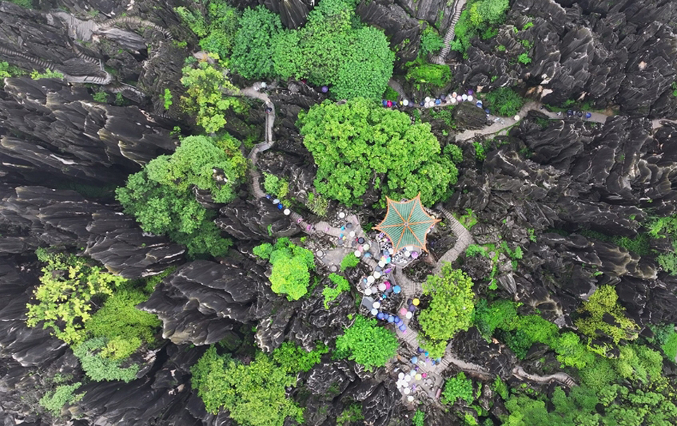 烟雨石林宛如仙境